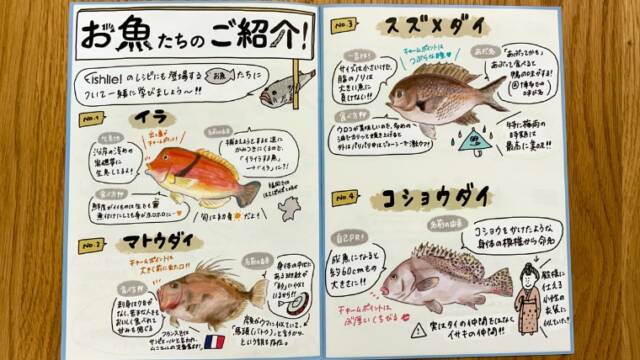 Fishlle!（フィシュル）　お魚図鑑
